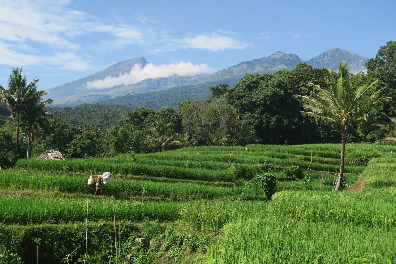 Budaya Kaki Rinjani سينارو المظهر الخارجي الصورة