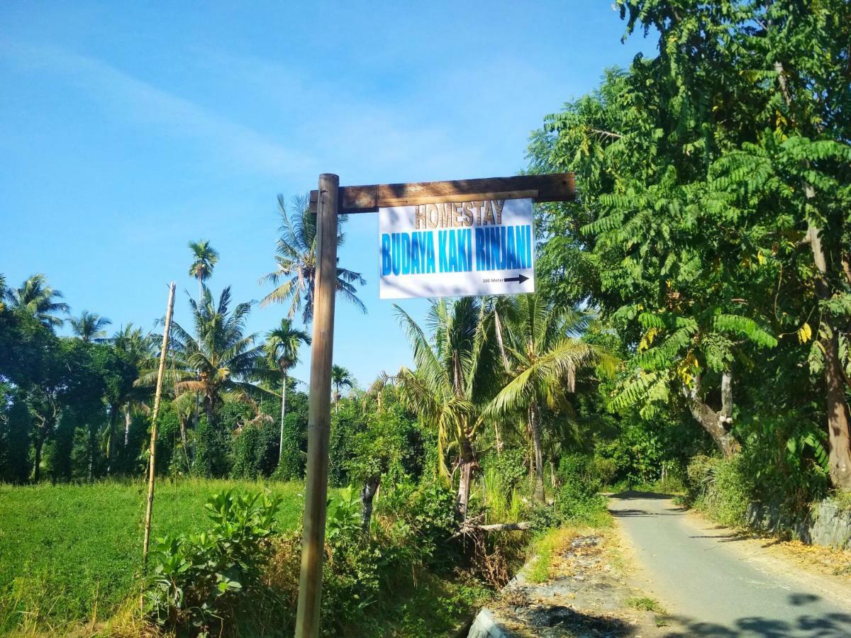 Budaya Kaki Rinjani سينارو المظهر الخارجي الصورة