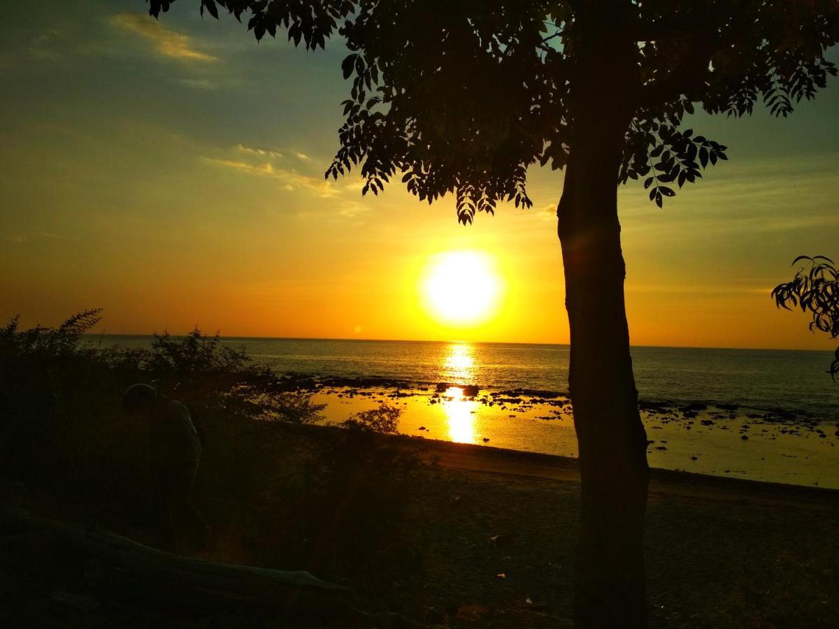 Budaya Kaki Rinjani سينارو المظهر الخارجي الصورة