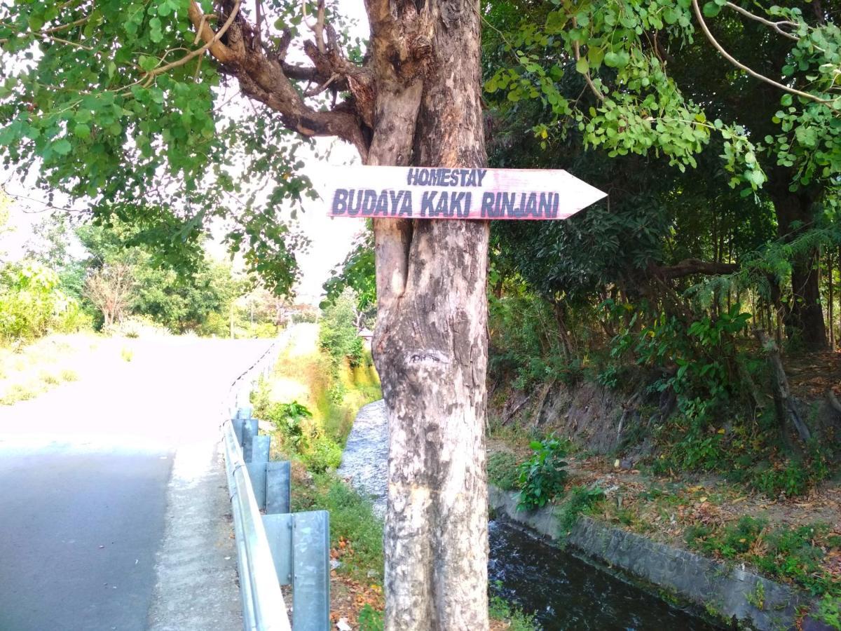 Budaya Kaki Rinjani سينارو المظهر الخارجي الصورة