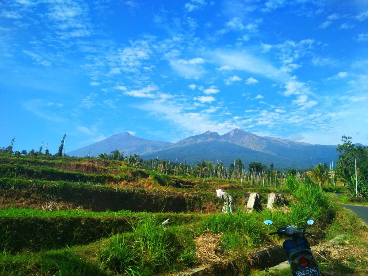 Budaya Kaki Rinjani سينارو المظهر الخارجي الصورة
